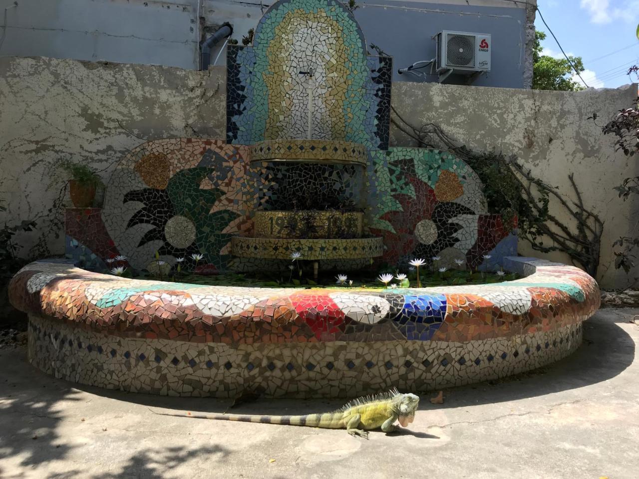 Otro Curacao - Urban Oasis In Otrobanda Leilighet Willemstad Eksteriør bilde